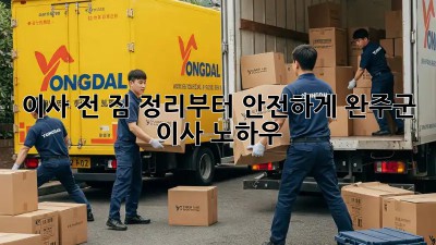 이사 전, 짐 정리부터 안전하게! 완주군 이사 노하우