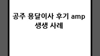 공주 원룸이사 꿀팁🍯 용달 비용 아끼는 법 (중학동, 봉황동)